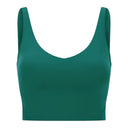 Scooped neck cropped top